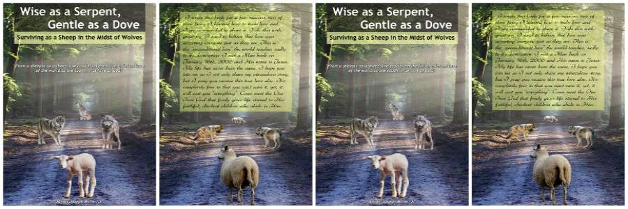 Wise as a Serpent, Gentle as a Dove; Surviving as a Sheep in the Midst of Wolves (eBook)